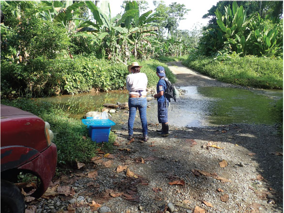 Imagen 3 Degradación de la quebrada de Amubri a causa de la deforestación, impactos del monocultivo de banano y plátano, aguas residuales, residuos sólidos y aceites derivados del paso vehicular