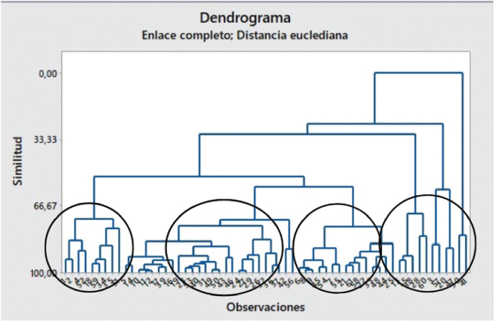 Dendograma del 2do corte para la descripción de las 4 categorías seleccionadas